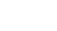 Hybird